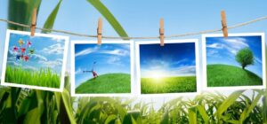Результаты областного фотоконкурса «Юность России»