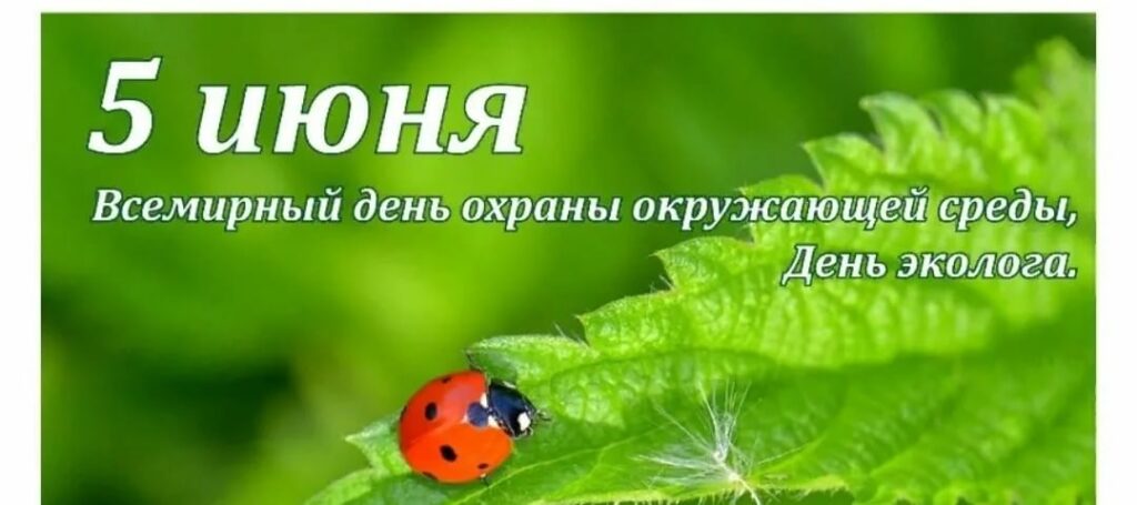 Формирование бережного отношения к природе через интеллектуальную игру «Жалобная книга природы»