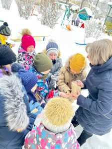 День зимующих птиц и кормление пернатых друзей